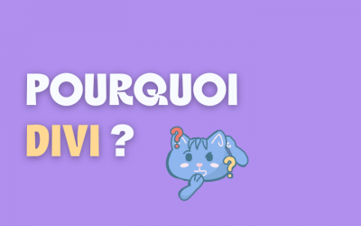 Thème Divi
